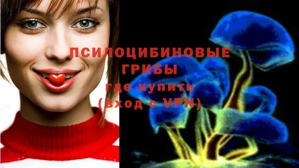 ПСИЛОЦИБИНОВЫЕ ГРИБЫ Алзамай
