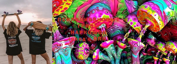 ПСИЛОЦИБИНОВЫЕ ГРИБЫ Алзамай