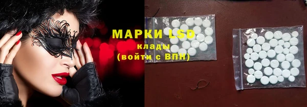 ПСИЛОЦИБИНОВЫЕ ГРИБЫ Алзамай