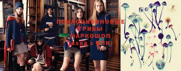 ПСИЛОЦИБИНОВЫЕ ГРИБЫ Алзамай